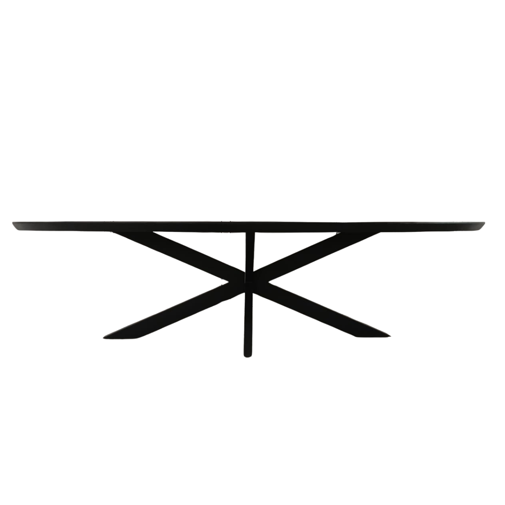 Esstisch Jacky Schwarz Oval – Massivholztisch aus Mangoholz mit schwarzem Metallgestell, 160 x 90 x 76 cm, 6 cm Platte