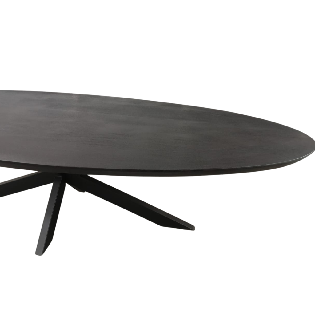 Esstisch Jacky Schwarz Oval – Massivholztisch aus Mangoholz mit schwarzem Metallgestell, 160 x 90 x 76 cm, 6 cm Platte
